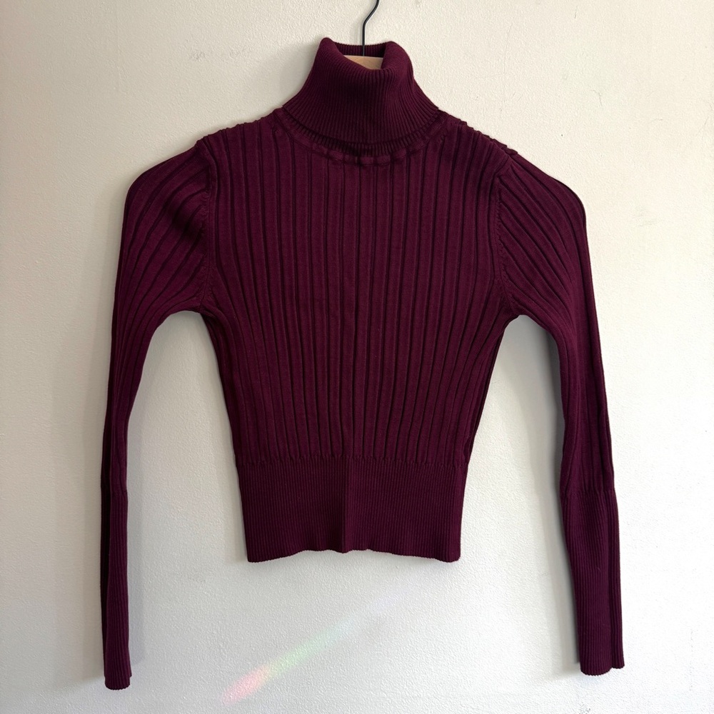 Zara Maroon Turtleneck